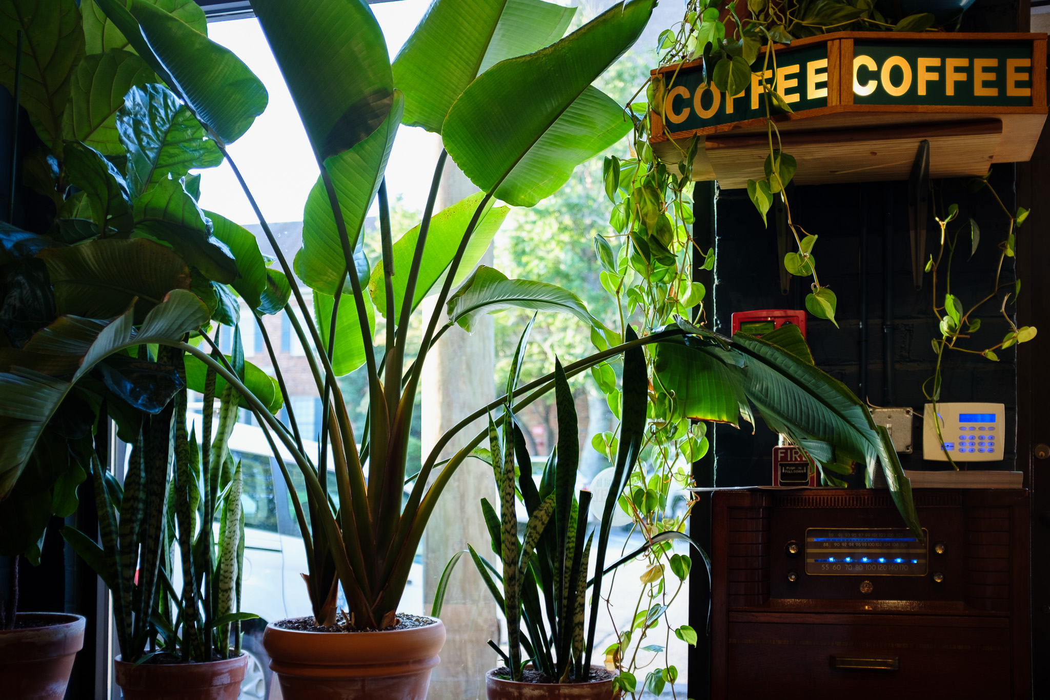 1000 Faces Coffee