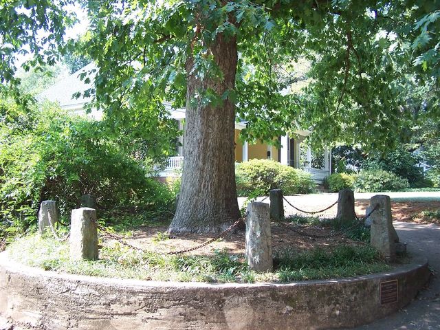 Tree That Owns Itself