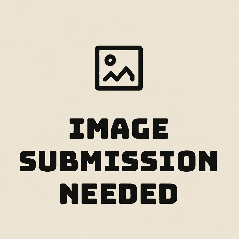 Uploaded image